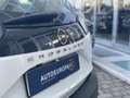 Opel Crossland Crossland 1.5 ECOTEC D 110 CV Start&Stop GS Line Bianco - thumbnail 15