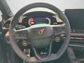 CUPRA Terramar VZ 2.0 TSI 195 kW (265 PS) 7-Gang DSG 4 Grau - thumbnail 9