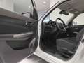 Suzuki Swift 1.2 Hybrid 4WD AllGrip Top*PRONTA CONSEGNA*4x4* Blanco - thumbnail 25