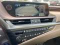 Lexus ES 300 h President Aut. Gris - thumbnail 15