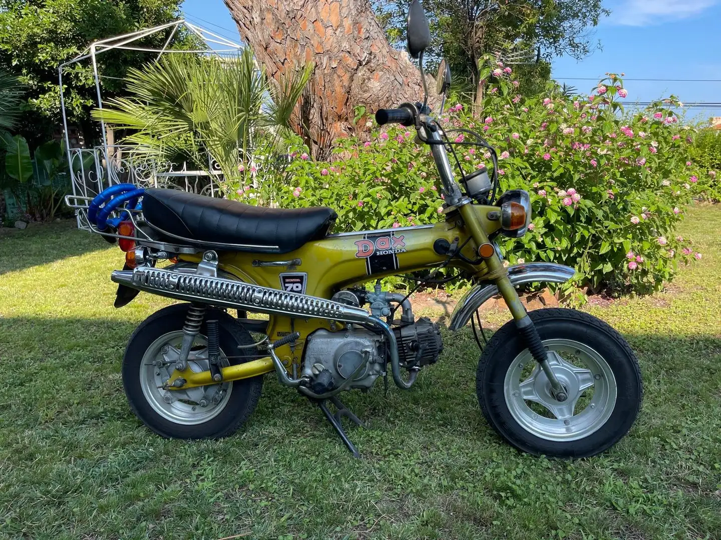 Honda ST 70 japan import Gold - 1