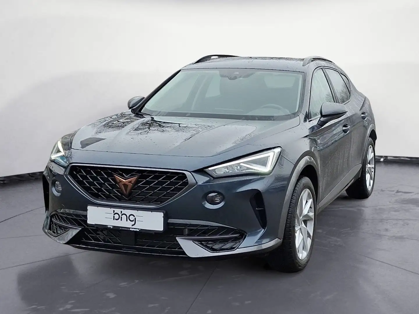 CUPRA Formentor 1.5 TSI DSG Grigio - 2