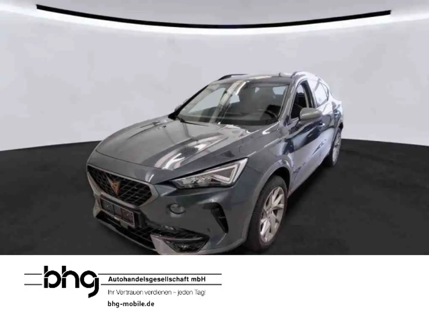 CUPRA Formentor 1.5 TSI DSG Grijs - 1