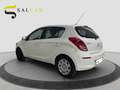 Hyundai i20 1.2 benzina 85 CV 2014 Bianco - thumbnail 5