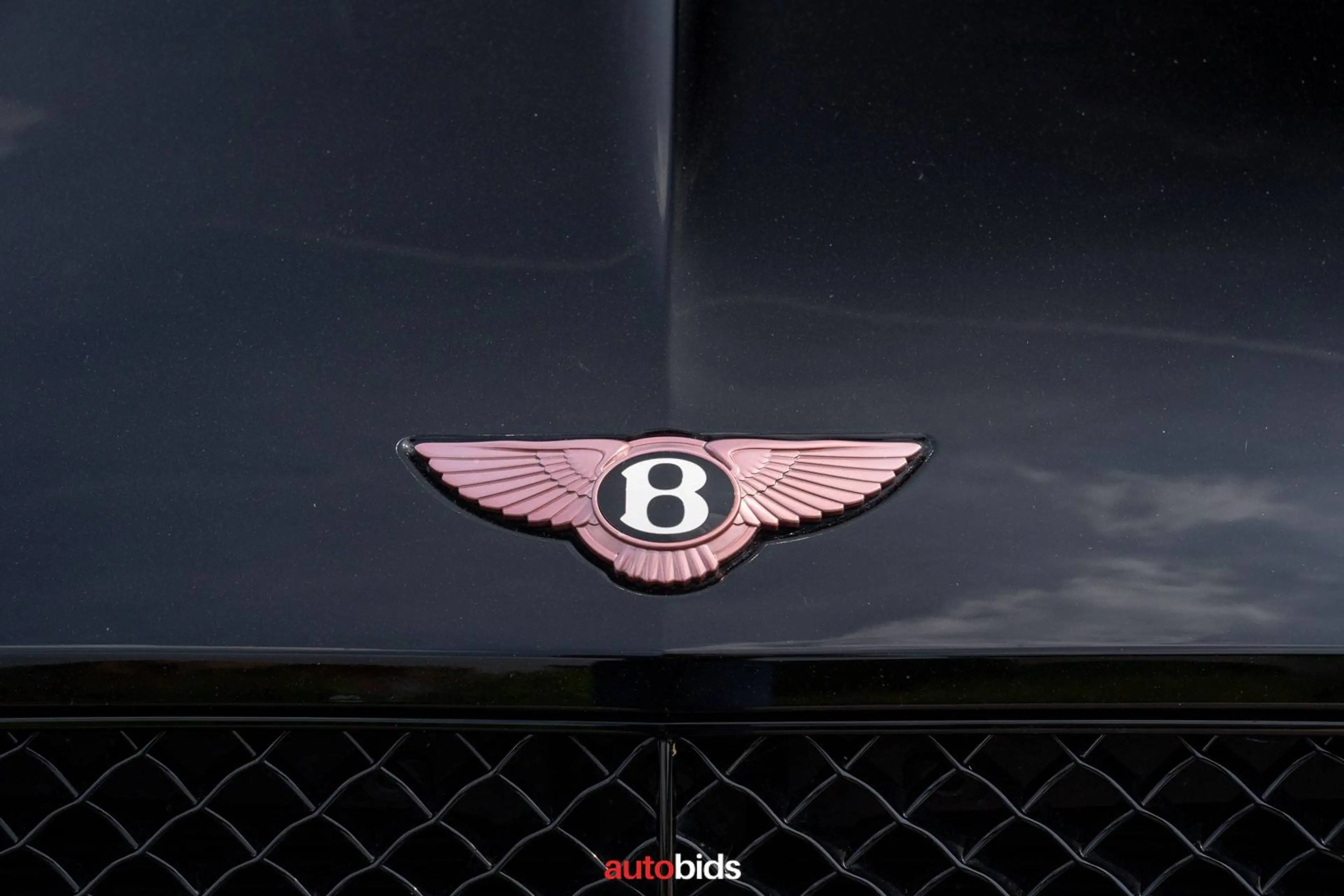 Bentley Continental GT Panglossian W12 - 1 of 12 worldwide - Belgian Car — photo 8