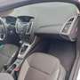 Ford Focus Focus 1.0 EcoBoost Start-Stopp-System Trend Weiß - thumbnail 9
