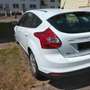 Ford Focus Focus 1.0 EcoBoost Start-Stopp-System Trend Weiß - thumbnail 3