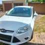 Ford Focus Focus 1.0 EcoBoost Start-Stopp-System Trend Weiß - thumbnail 2