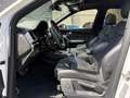 Audi Q5 40 TDI quattro 3x-Sline*PANO*SCHECKHFT*8-FACH Weiß - thumbnail 11