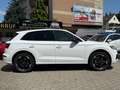 Audi Q5 40 TDI quattro 3x-Sline*PANO*SCHECKHFT*8-FACH Weiß - thumbnail 6
