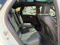 Audi Q5 40 TDI quattro 3x-Sline*PANO*SCHECKHFT*8-FACH Weiß - thumbnail 28