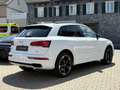 Audi Q5 40 TDI quattro 3x-Sline*PANO*SCHECKHFT*8-FACH Weiß - thumbnail 7