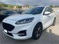 Ford Kuga 1.5 ECOBLUE ST-LINE X 120CV Weiß - thumbnail 1