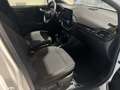 Ford Puma 1.0 EcoBoost Hybrid TITANIUM Blanc - thumbnail 12