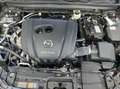 Mazda CX-30 e-SKYACTIV-G 2.0 M HYBRID 150 SELECTION Grau - thumbnail 21