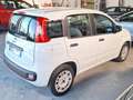 Fiat Panda Panda 1.2 Easy 69cv Bianco - thumbnail 2
