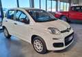 Fiat Panda Panda 1.2 Easy 69cv Bianco - thumbnail 4