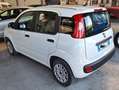 Fiat Panda Panda 1.2 Easy 69cv Bianco - thumbnail 6