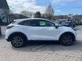 Ford Puma 1,0 EcoBoost 92kW Titanium+KomfortPaket Wit - thumbnail 8
