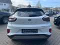 Ford Puma 1,0 EcoBoost 92kW Titanium+KomfortPaket Wit - thumbnail 7