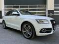 Audi SQ5 3.0 TDI *COMPETITION*B&O*AHK*PANO*SERVICE* Weiß - thumbnail 7