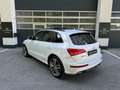 Audi SQ5 3.0 TDI *COMPETITION*B&O*AHK*PANO*SERVICE* Weiß - thumbnail 2