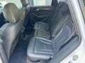 Audi SQ5 3.0 TDI *COMPETITION*B&O*AHK*PANO*SERVICE* Weiß - thumbnail 16