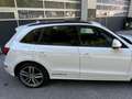 Audi SQ5 3.0 TDI *COMPETITION*B&O*AHK*PANO*SERVICE* Weiß - thumbnail 8