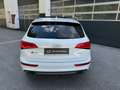 Audi SQ5 3.0 TDI *COMPETITION*B&O*AHK*PANO*SERVICE* Weiß - thumbnail 4