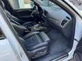 Audi SQ5 3.0 TDI *COMPETITION*B&O*AHK*PANO*SERVICE* Weiß - thumbnail 13