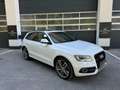 Audi SQ5 3.0 TDI *COMPETITION*B&O*AHK*PANO*SERVICE* Weiß - thumbnail 1