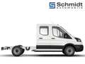 Ford Transit Pritsche Trend DK 350L2 2,0L Eblue 130PS M FWD Bauart: CA#BF-Fahrgestell Doppelkabine - (CA#BF) Weiß - thumbnail 4