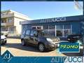 Fiat Panda 1.0 FireFly S&S Hybrid City Life 5 posti Gris - thumbnail 1
