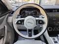 Jaguar F-Pace 2.0D l4 MHEV Standard Aut. AWD 163 - thumbnail 23