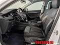 Skoda Octavia Octavia Weiß - thumbnail 9