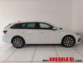Skoda Octavia Octavia Weiß - thumbnail 5