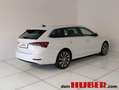 Skoda Octavia Octavia Weiß - thumbnail 6