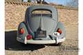Volkswagen Beetle Standard Oval 1200 Rare and desirable ‘Oval-Window siva - thumbnail 13