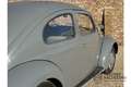 Volkswagen Beetle Standard Oval 1200 Rare and desirable ‘Oval-Window Grau - thumbnail 26