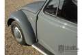 Volkswagen Beetle Standard Oval 1200 Rare and desirable ‘Oval-Window Gris - thumbnail 41