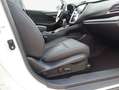 Subaru OUTBACK Outback 2.5i Lineartronic Platinum White - thumbnail 9