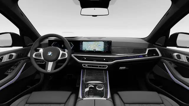 BMW X5 view 10