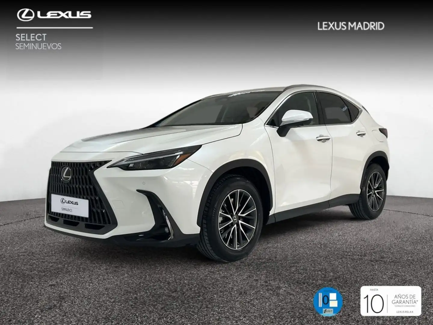Lexus NX 450h+ Executive 4WD Bianco - 1