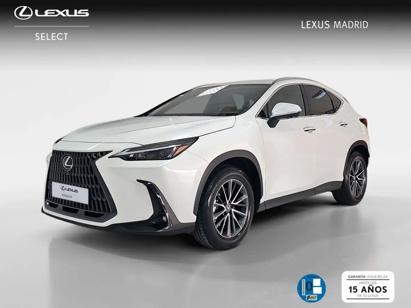 Lexus NX 450h+ Executive 4WD Weiß - 1