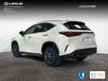 Lexus NX 450h+ Executive 4WD Weiß - thumbnail 2
