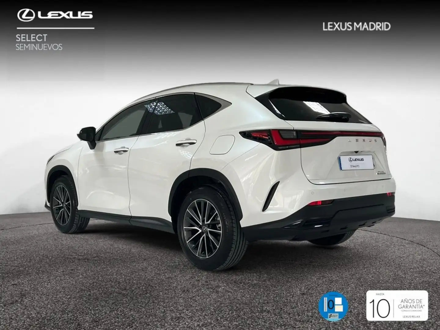 Lexus NX 450h+ Executive 4WD Weiß - 2