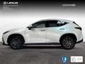 Lexus NX 450h+ Executive 4WD Weiß - thumbnail 3