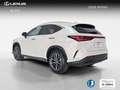 Lexus NX 450h+ Executive 4WD Weiß - thumbnail 4