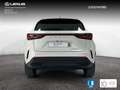 Lexus NX 450h+ Executive 4WD Weiß - thumbnail 4
