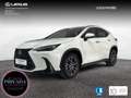 Lexus NX 450h+ Executive 4WD Weiß - thumbnail 1